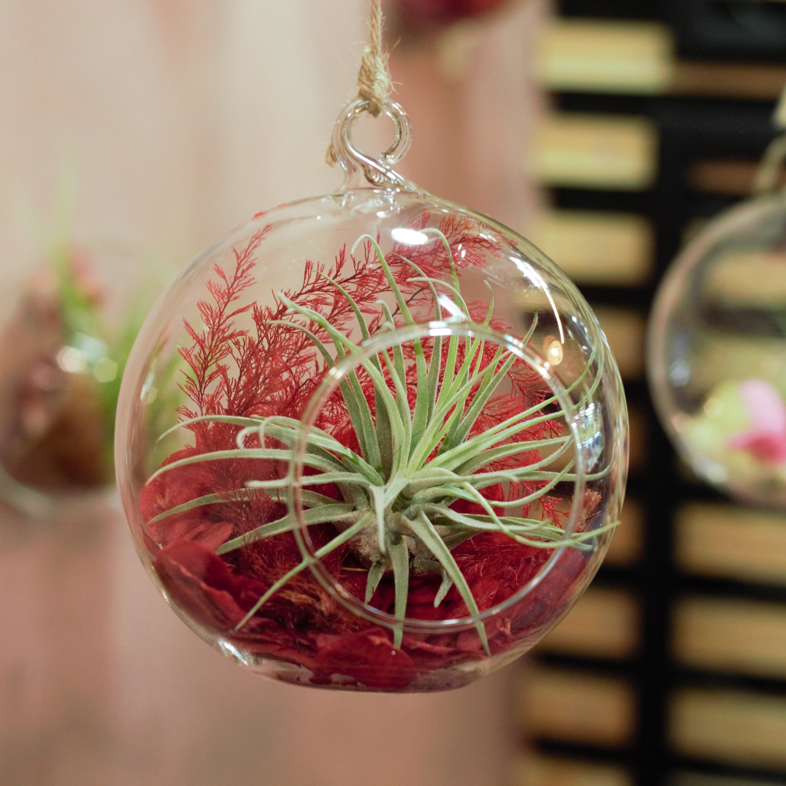 Support en plâtre ananas