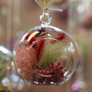 bulle diamètre 10 cm argentea lichen et baies roses bouquet