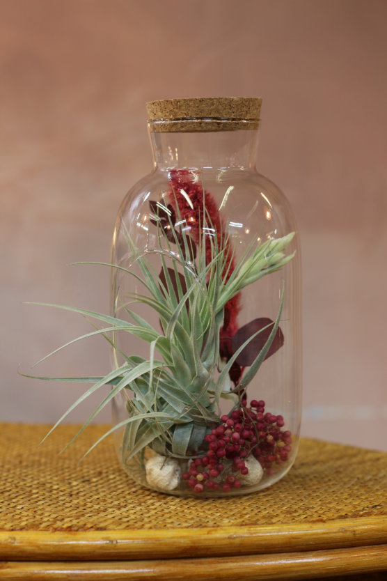 Grande bouteille, tillandsia gardneri, baies roses, faux ail et bouquet séché d'eucalyptus et de setaria