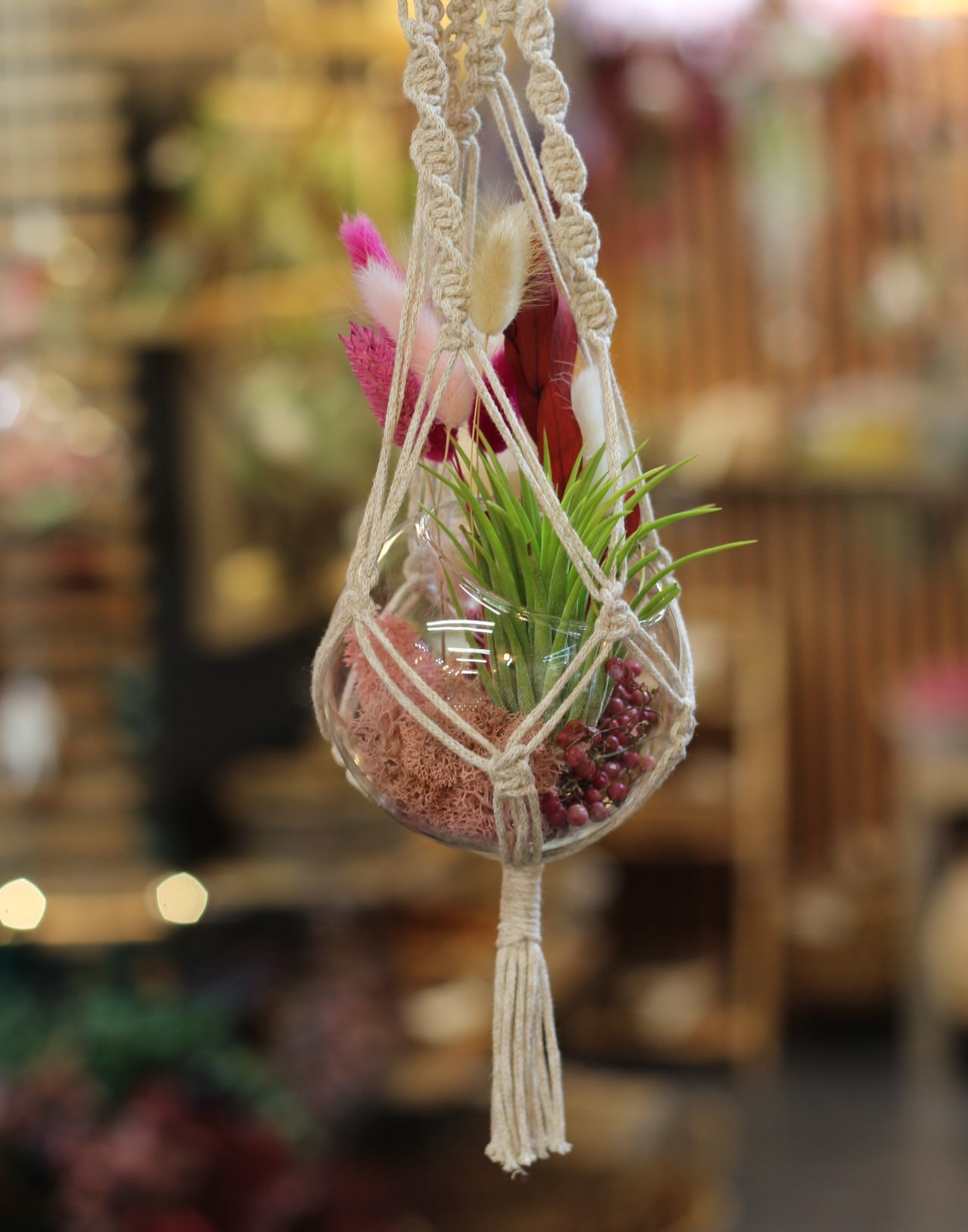 Suspensions végétales en macramé