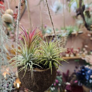 Petit canot à suspendre