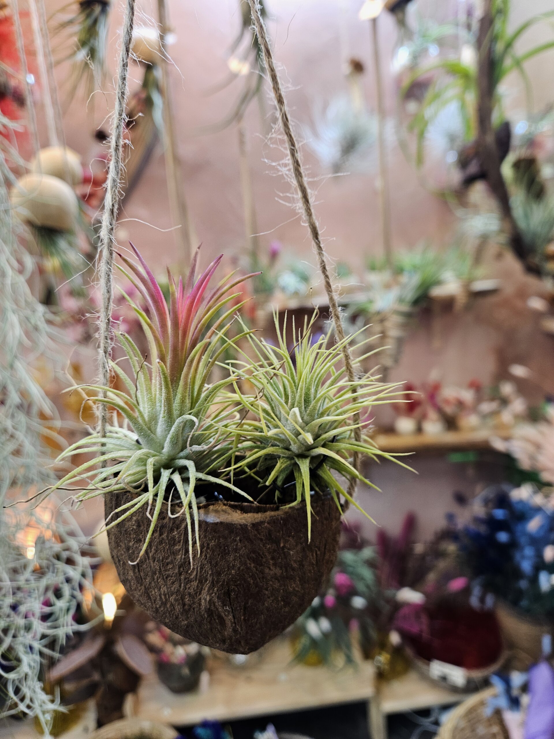 Petit canot à suspendre