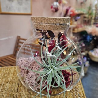 Bonbonne moyenne - kammii, baies rose, lichen et bouquet stabilisé