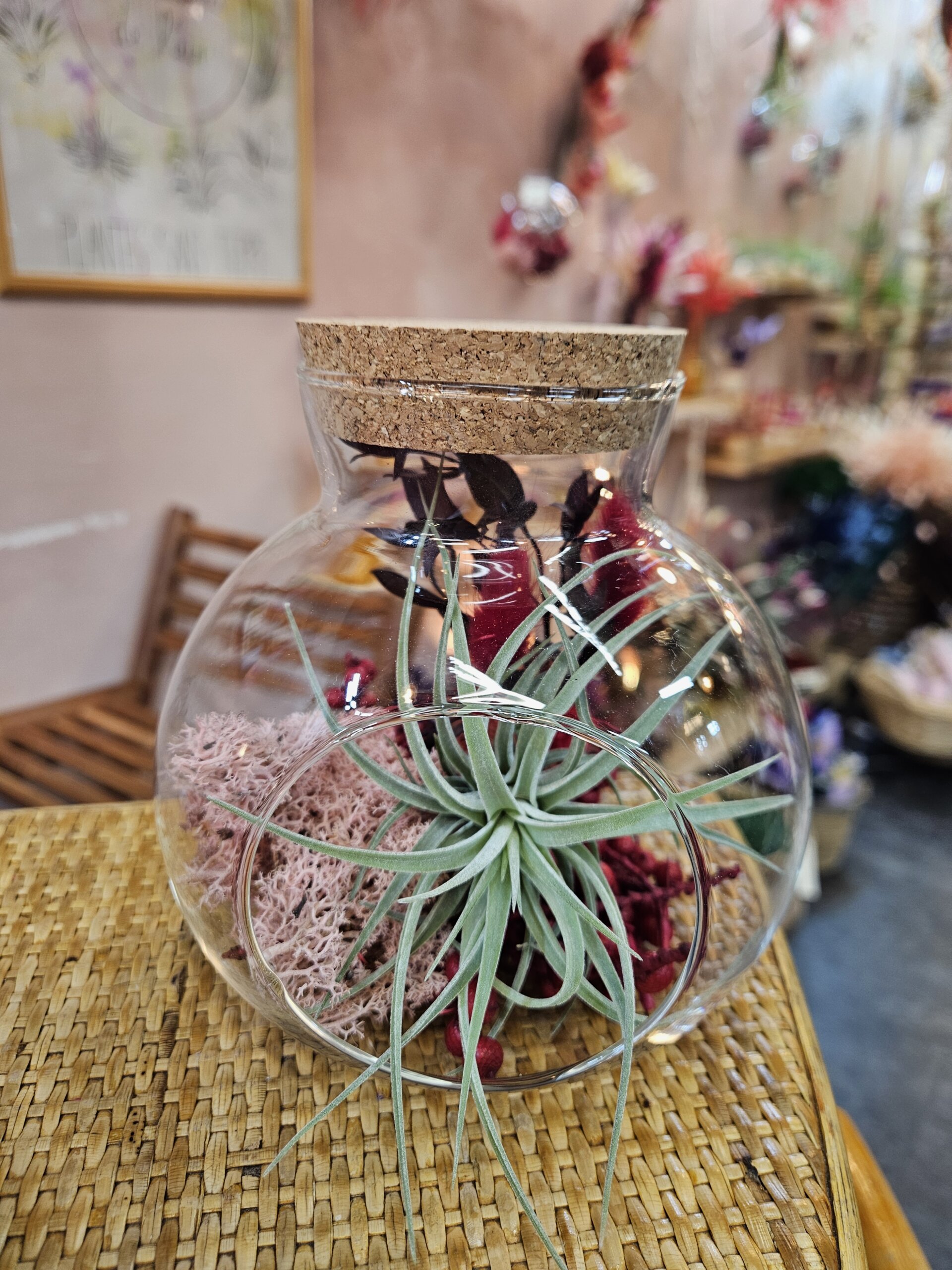 Bonbonne moyenne - kammii, baies rose, lichen et bouquet stabilisé