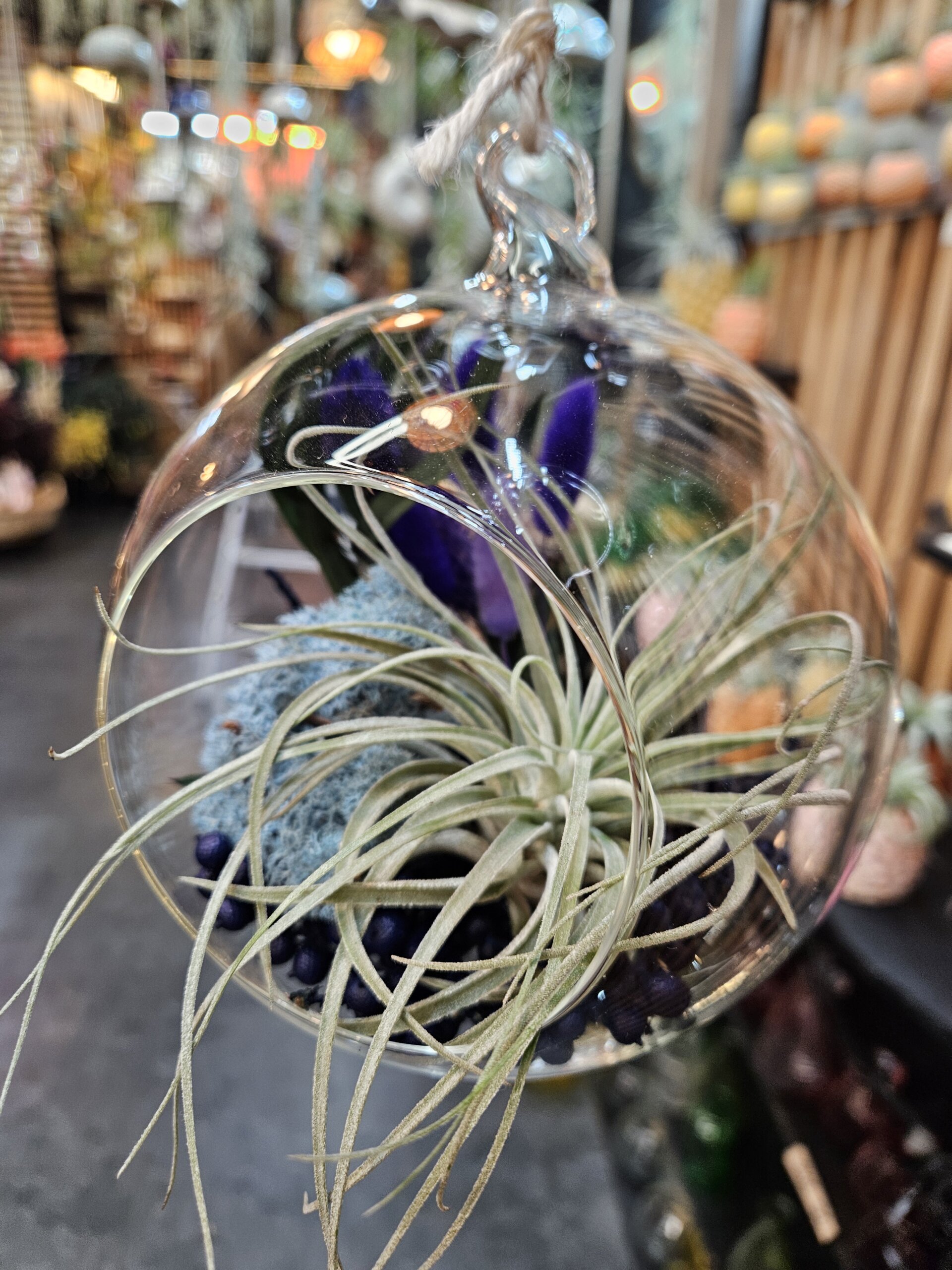 Bulle (diam 14 cm) – tillandsia oaxacana, baies, lichen et bouquet – Image 2