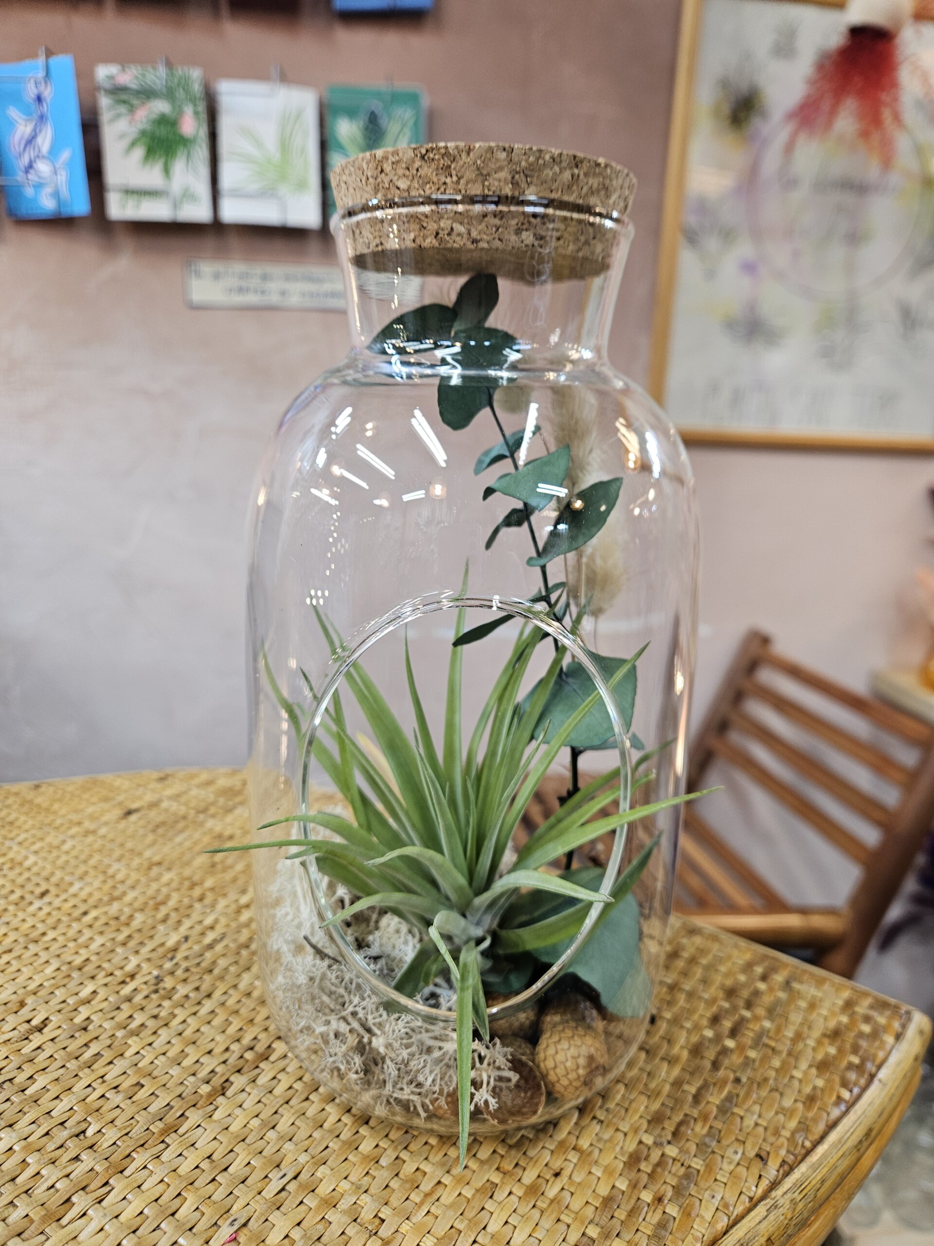 Grande bouteille, tillandsia velutina, rattan, lichen et bouquet séché d'eucalyptus et de lagurus