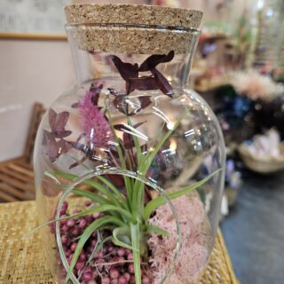 Petite bouteille - tillandsia brachycaulos, baies rose, lichen et bouquet stabilisé