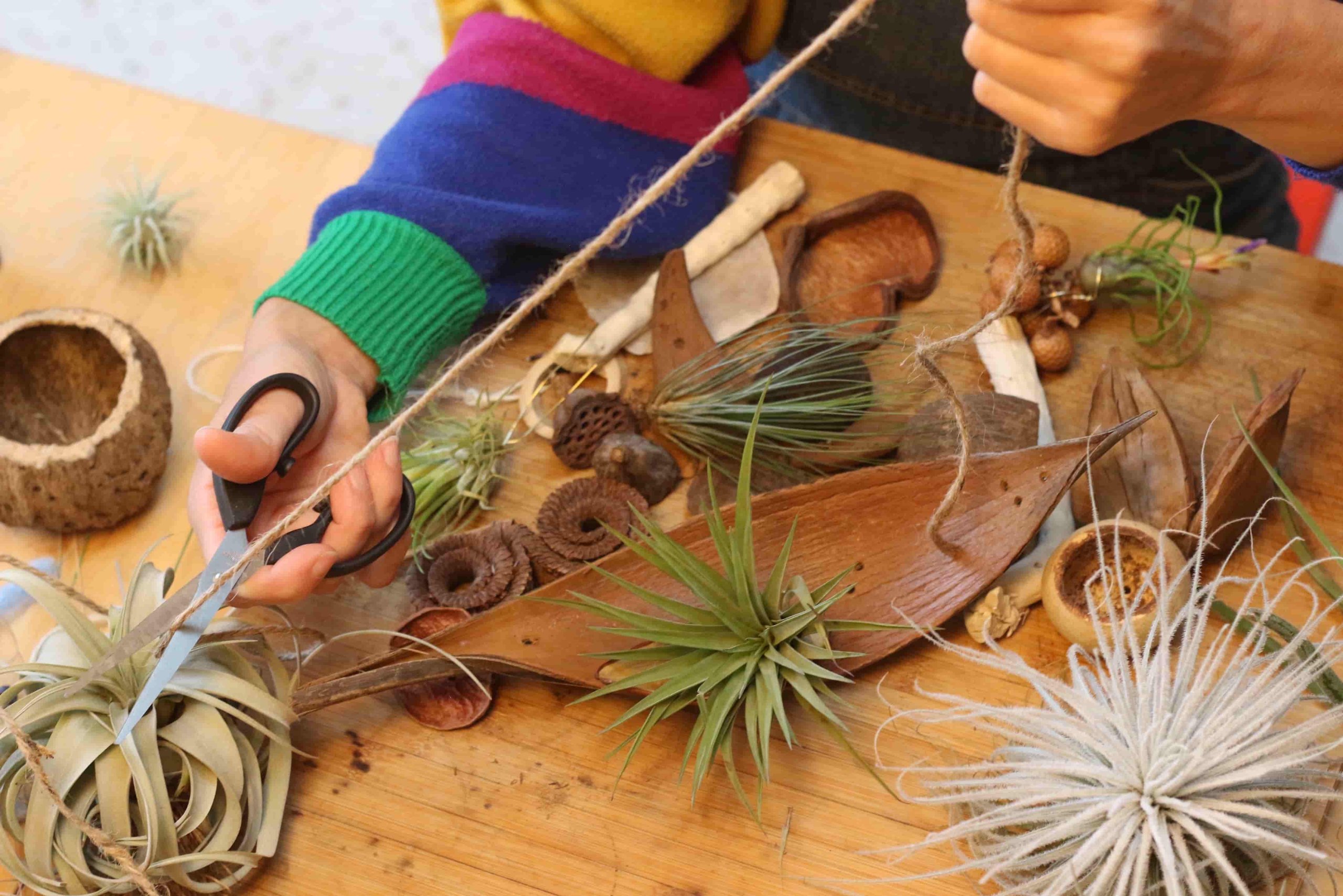 Atelier suspensions végétales en macramé avec Mylène chez Les Demoiselles de l'Air