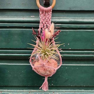 Bon cadeau - mural végétal