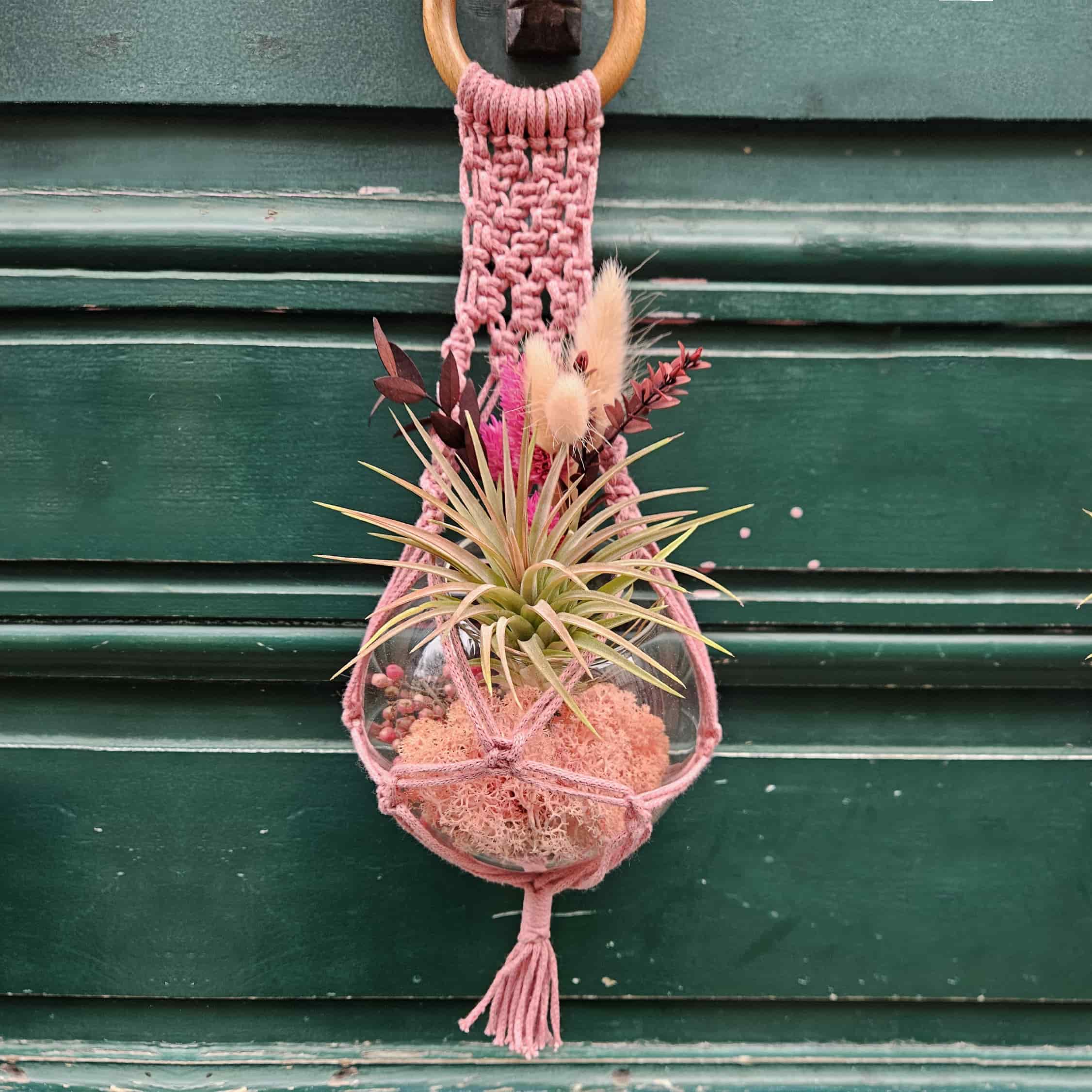 Bon cadeau - mural végétal