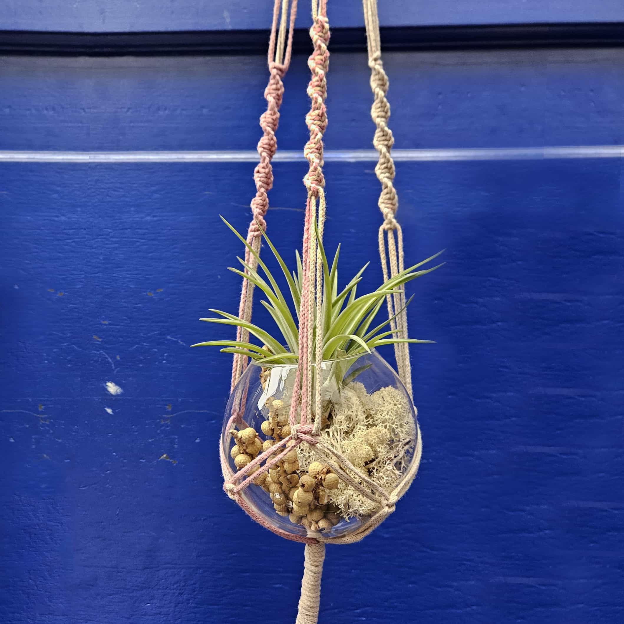 Bon cadeau - vrilles