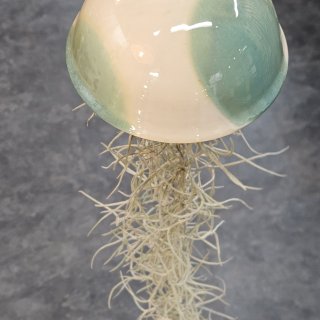 Grande méduse green et tillandsia usneoïdes